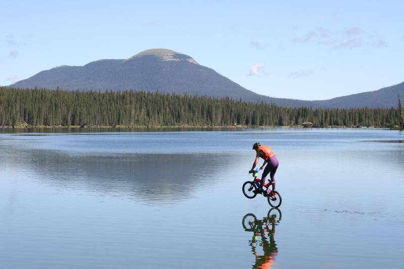bicicletas bicicletas